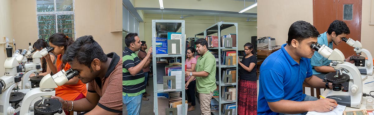 Academic Department University Of Calcutta